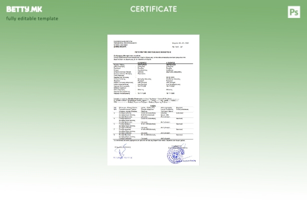 Модерен стил, шаблон за сертификат за семеен статус на Грција